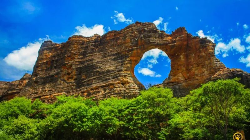 Piauí: com áreas rurais amplas e pouca interferência de luz artificial, o Piauí é uma excelente escolha no Nordeste - Reprodução/ND