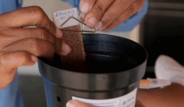 Governo ES - Sesa amplia estratégia de vigilância e monitoramento do Aedes aegypti no Espírito Santo