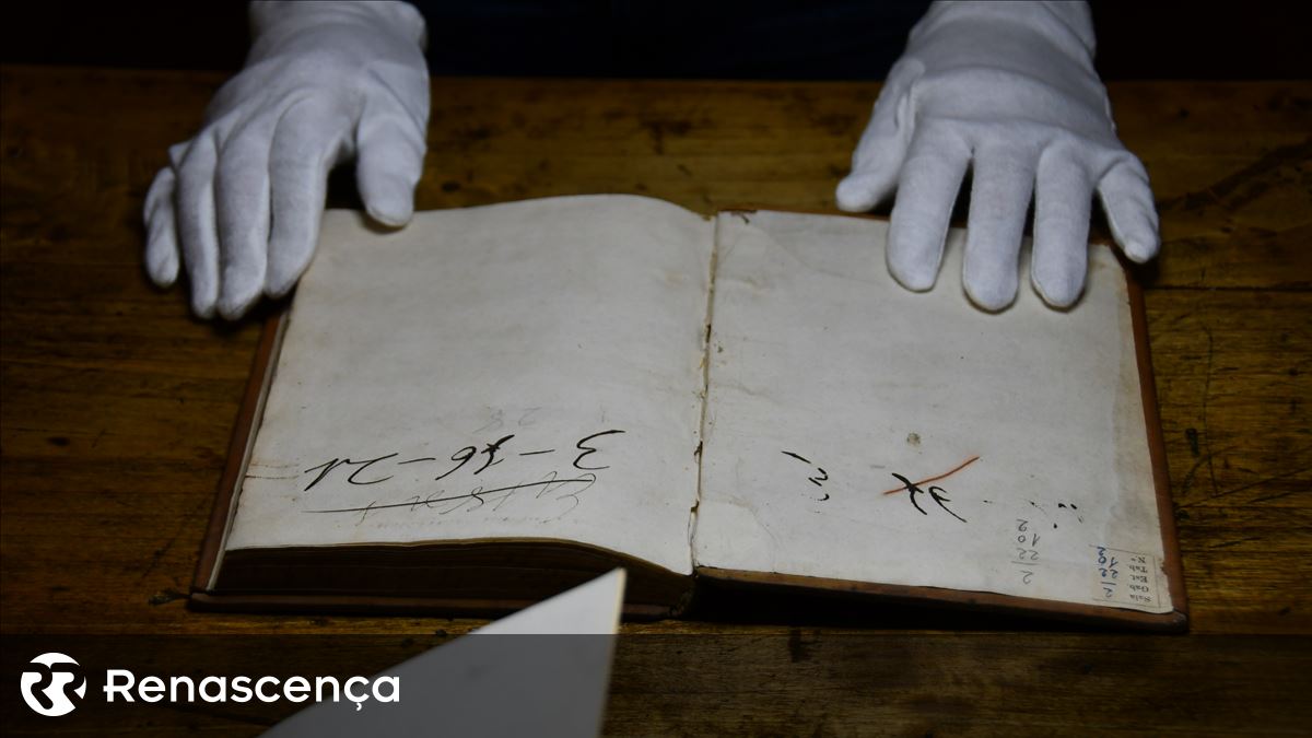 Vinte milhões de imagens vão revelar ao mundo todos os livros da Biblioteca Joanina