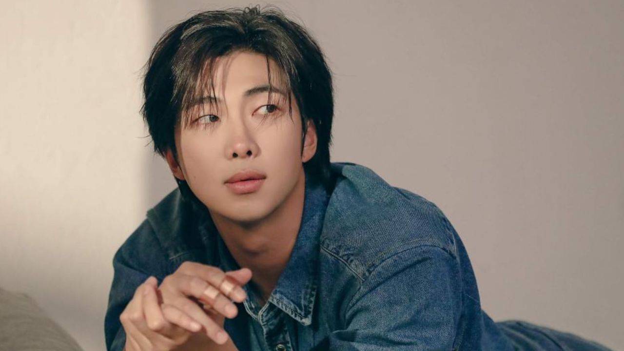 RM, em photo sketch para o álbum "Indigo"