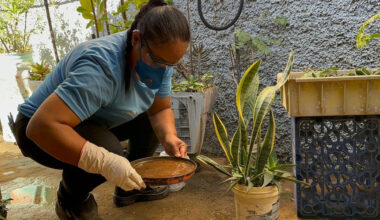 Saúde alerta para o risco de aumento dos casos de dengue com a chegada do período chuvoso - Portal Imbiara