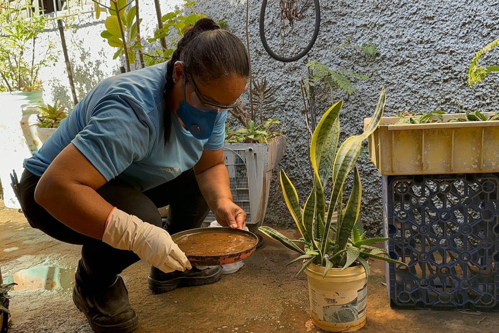 Saúde alerta para o risco de aumento dos casos de dengue com a chegada do período chuvoso - Portal Imbiara