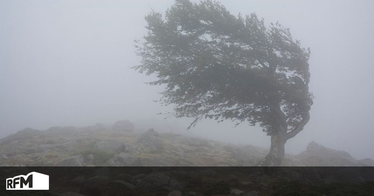 Depressão Alice aproxima-se da Península Ibérica: Espanha está em alerta e Portugal?