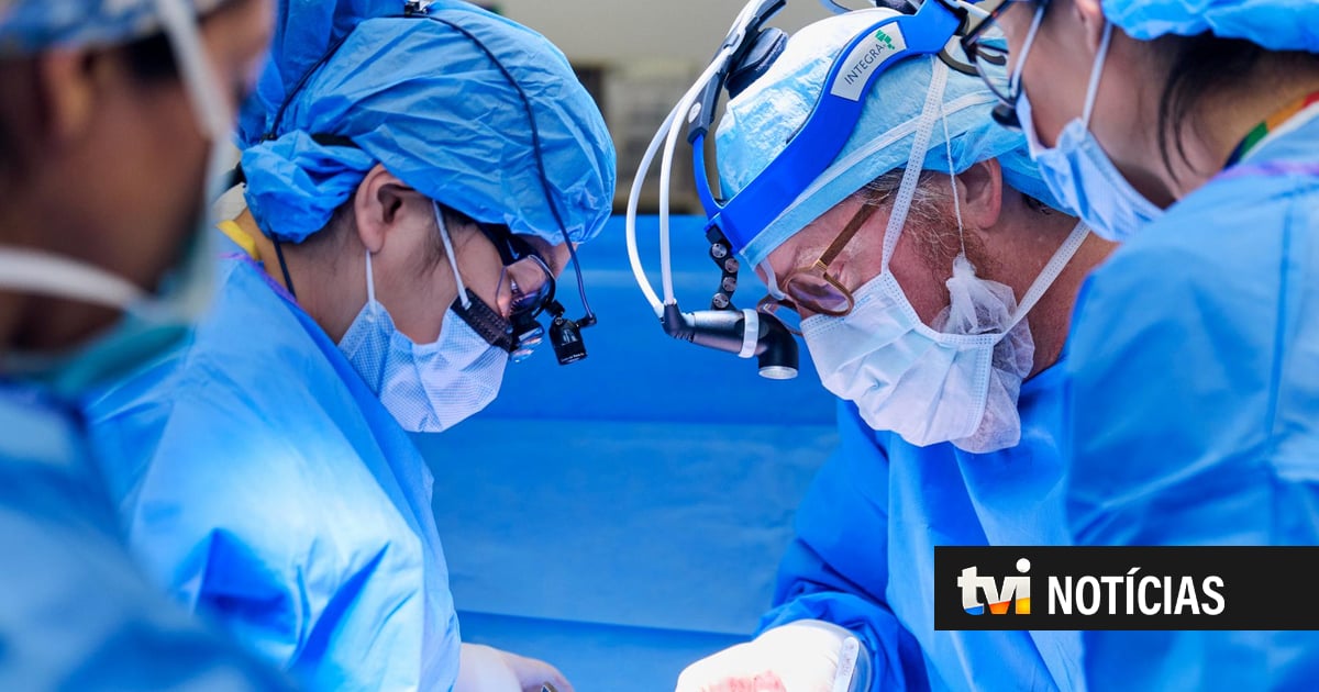Homem sobrevive quase seis meses com transplante de fígado de porco na China