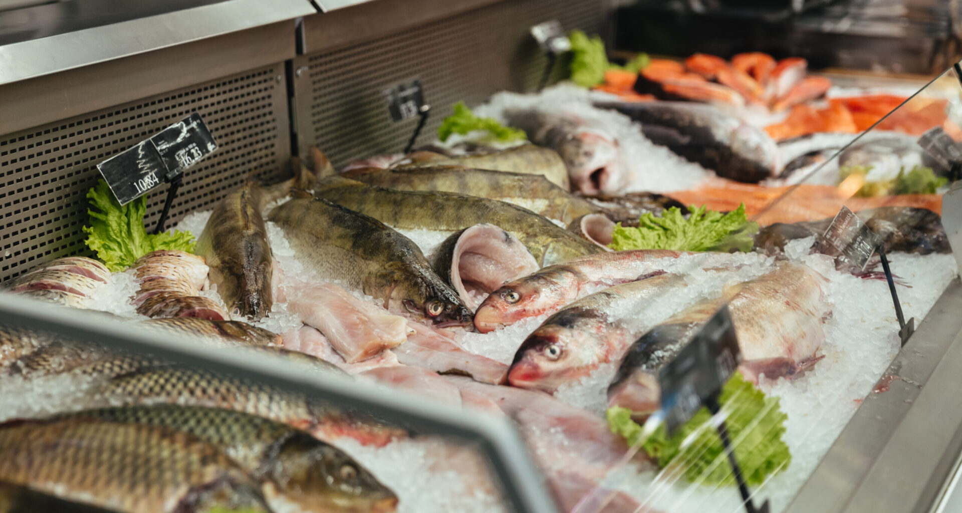 Alerta europeu para peixe perigoso que continua à venda em Portugal apesar de estar proibido noutros países