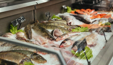 Alerta europeu para peixe perigoso que continua à venda em Portugal apesar de estar proibido noutros países