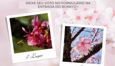 VOTO POPULAR DO XII CONCURSO BUNKYO DE FOTOGRAFIA – Bunkyo