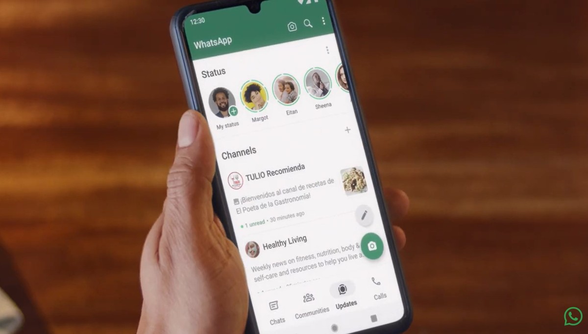 Whatsapp não envia contatos? Veja como resolver erro