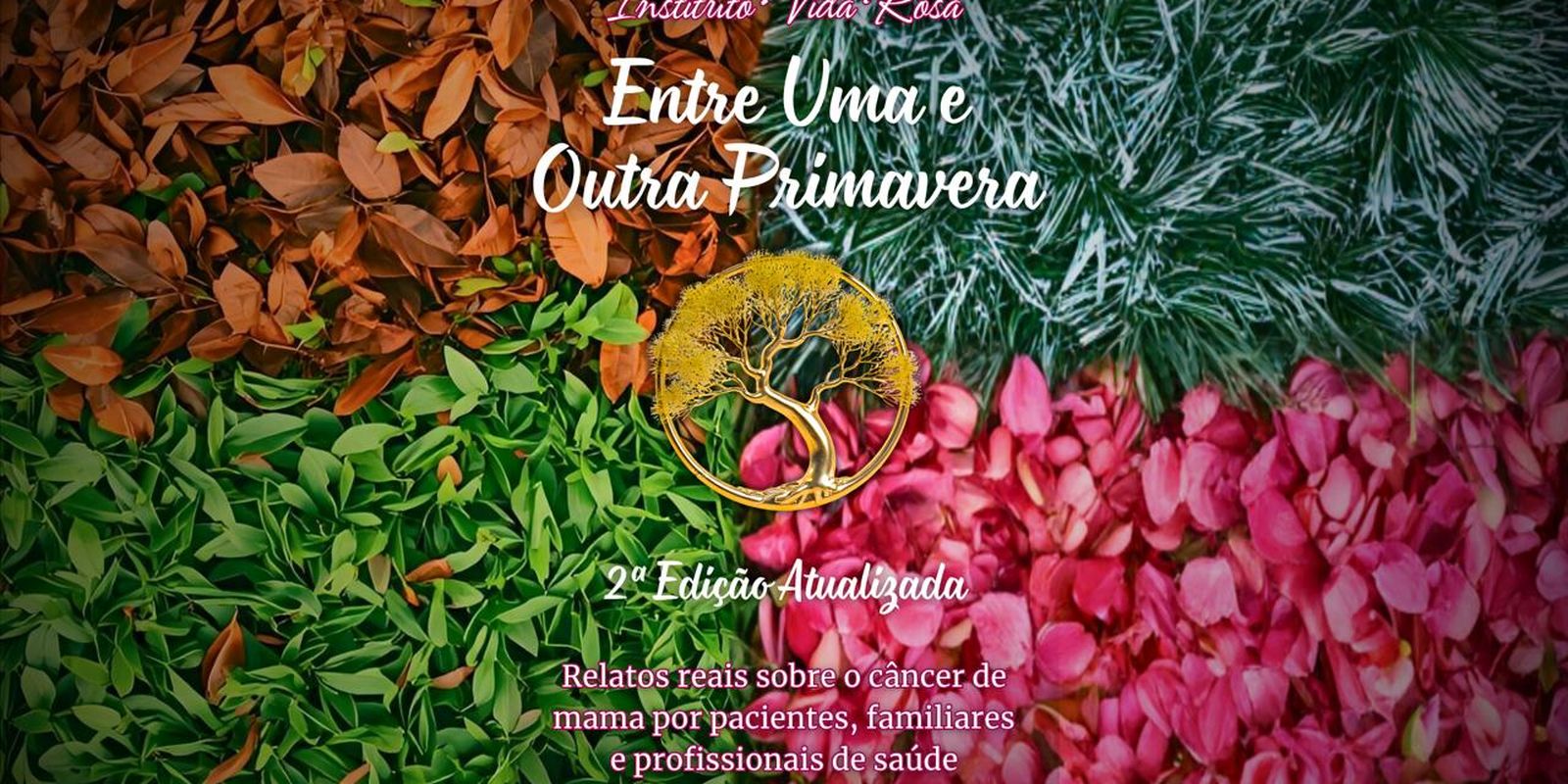 Câncer de mama: Livro traz relatos de médicos, pacientes e familiares