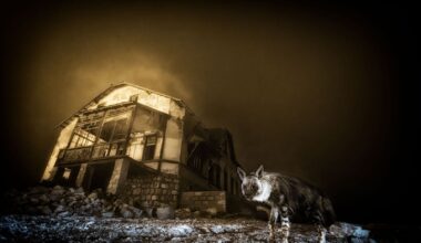 Por que o retrato fantasmagórico desta hiena foi a melhor foto de animais selvagens de 2025? | National Geographic