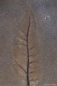 Um jabiru-asiático sobrevoa as marés de bancos de lama. Imagem premiada no concurso Fotógrafo de natureza do ano da Austrália