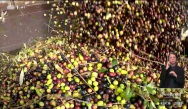 Jornalismo da RTP premiado - RTP