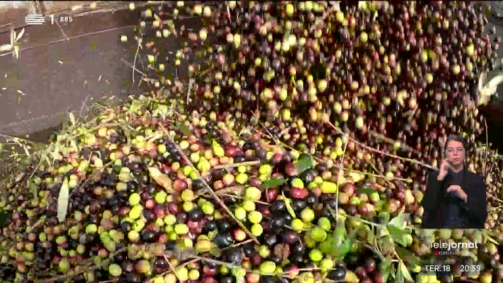Jornalismo da RTP premiado - RTP