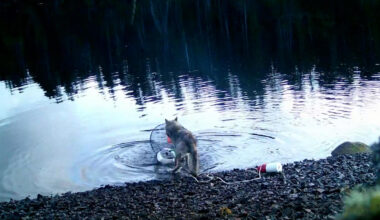 Notícias Ilimitadas