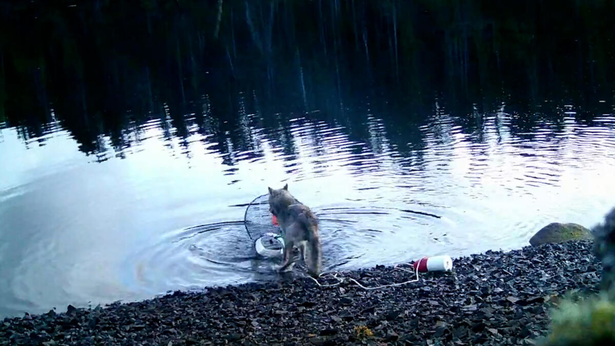 Notícias Ilimitadas