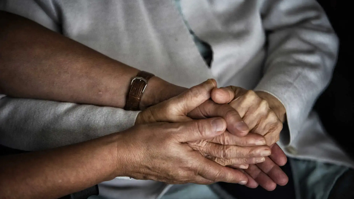 Jornal de Notícias Logo