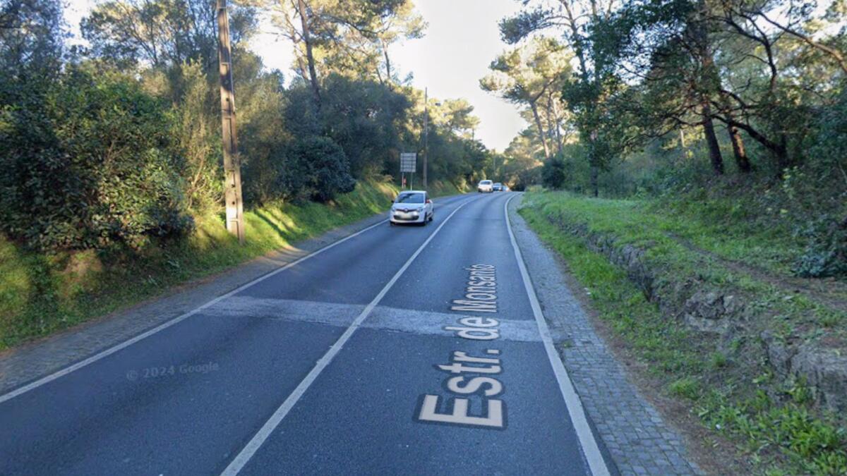 Jornal de Notícias Logo