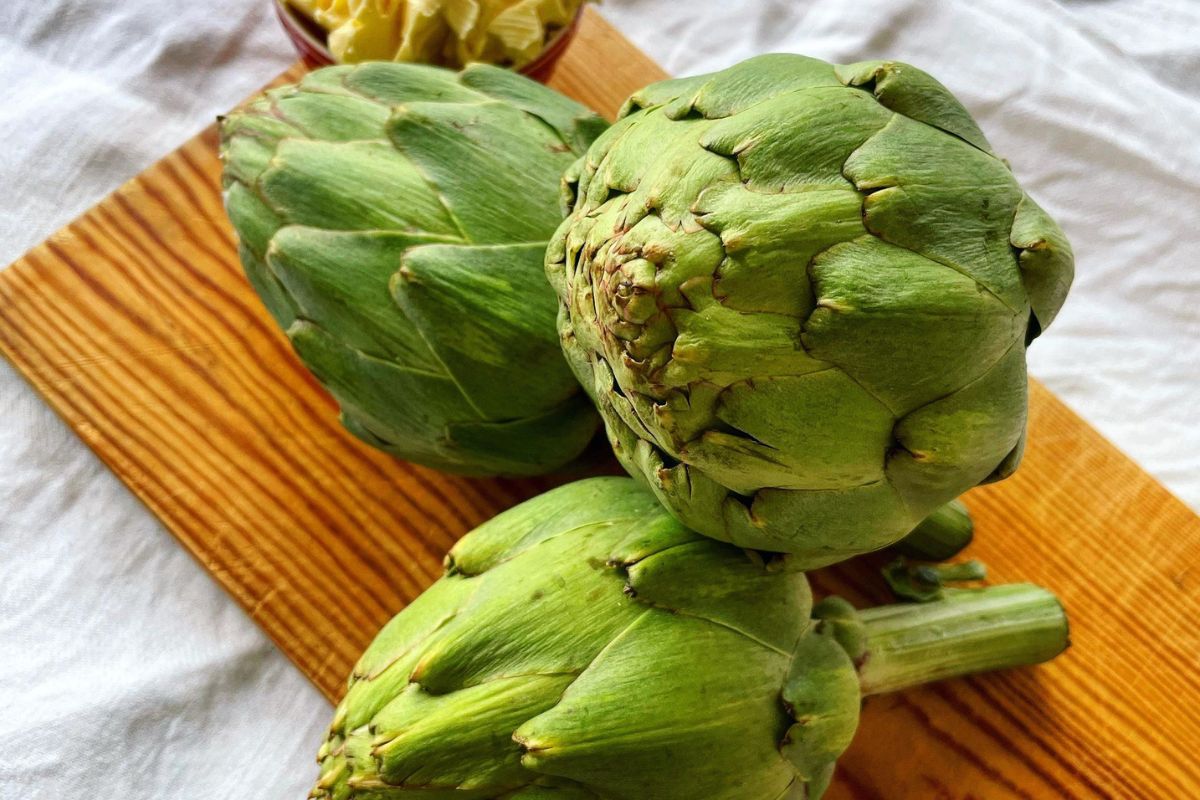 alcachofra