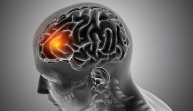 Cientistas acham interruptor da ansiedade e desligam o transtorno em ratos