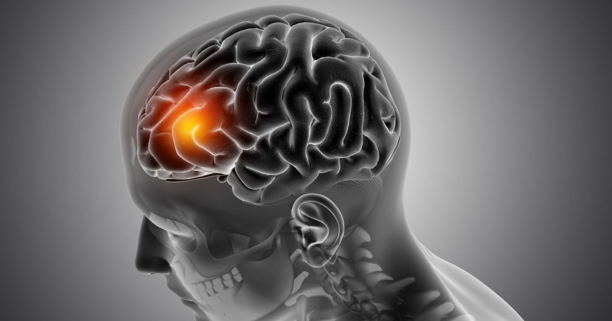 Cientistas acham interruptor da ansiedade e desligam o transtorno em ratos