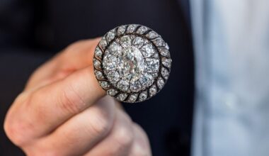 Alfinete de Napoleão Bonaparte vendido por mais de 3,7 milhões de euros