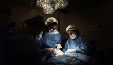 Teste feito em segundos melhora tratamento da sepse - 30/11/2025 - Equilíbrio e Saúde