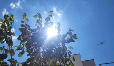 Feriado da Consciência Negra deve ter calor de 27°C em SP - 20/11/2025 - Cotidiano