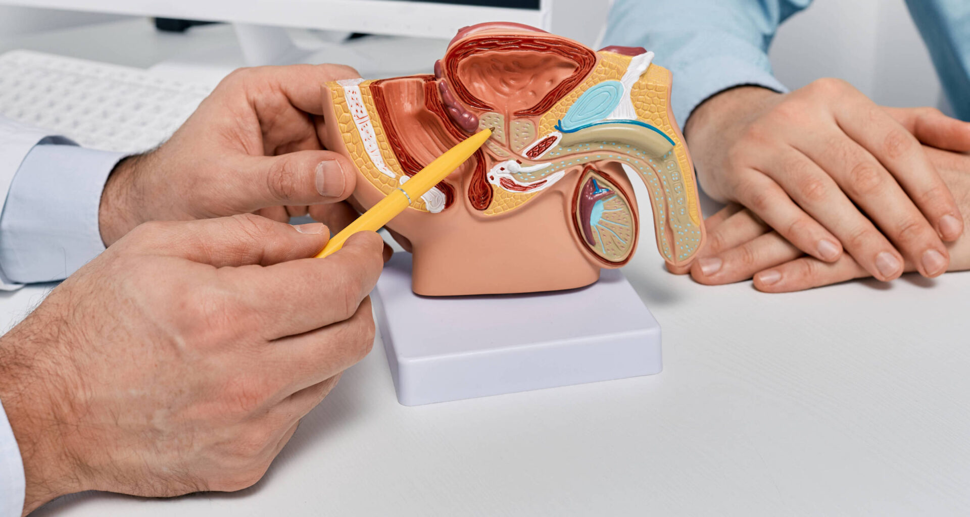 Câncer de próstata: conhecidos exames e novas técnicas - 17/11/2025 - Equilíbrio e Saúde