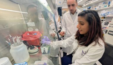 Estudo mostra anticorpo para combater câncer de pâncreas - 03/11/2025 - Equilíbrio e Saúde