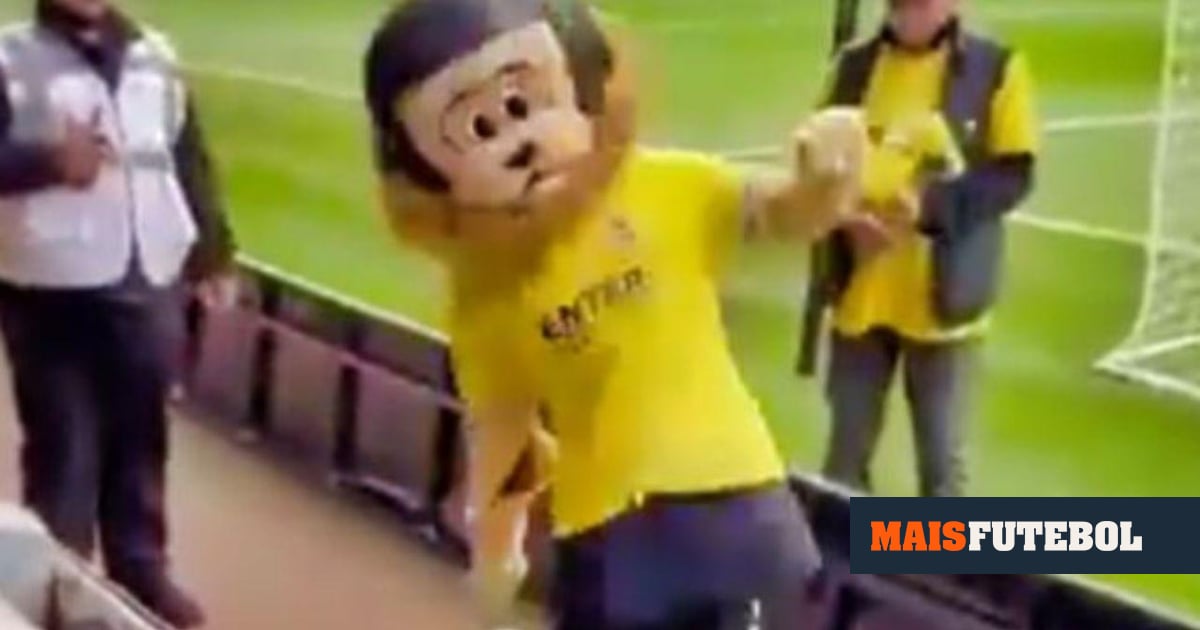 INSÓLITO: mascote do modesto St. Albans foi expulsa por embriaguez extrema