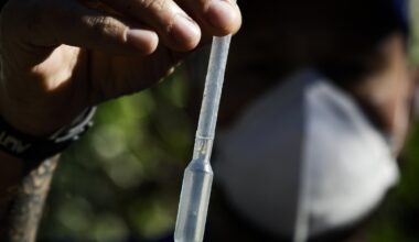 RS está entre os cinco Estados com mais casos prováveis de dengue no Brasil