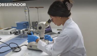 Glicose. Nanomotores administram medicamentos em tumores – Observador