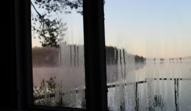 Lidl tem mesmo um super-herói contra a humidade do inverno