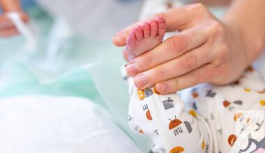 Nascer em Portugal é "tão seguro" que "há cada vez mais estrangeiras a procurarem-nos para terem os filhos"