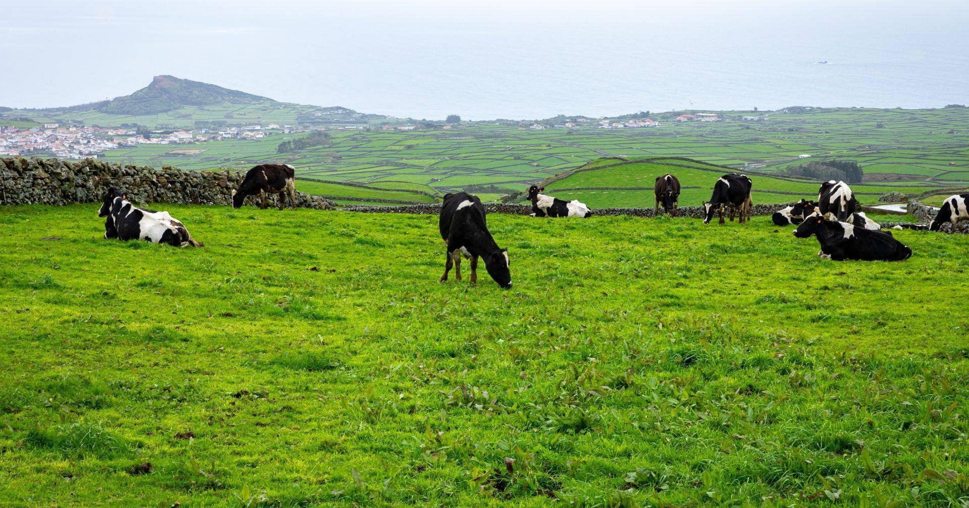 Nível de alerta do Vulcão de Santa Bárbara nos Açores volta a subir para V3
