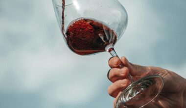 Vinho premiado e com 91/100 pontos não chega a 4 euros no Lidl