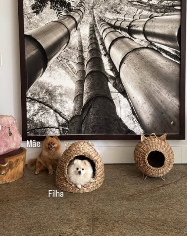 Detalhes da entrada da casa — Foto: reprodução