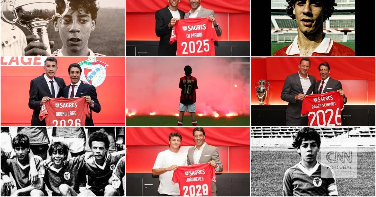 Como Rui Costa se compara com FC Porto e Sporting: o que dizem os números - e o dinheiro