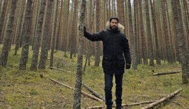 Série sobre a Estônia: o que ver na TV e no streaming - 09/11/2025 - Ilustrada