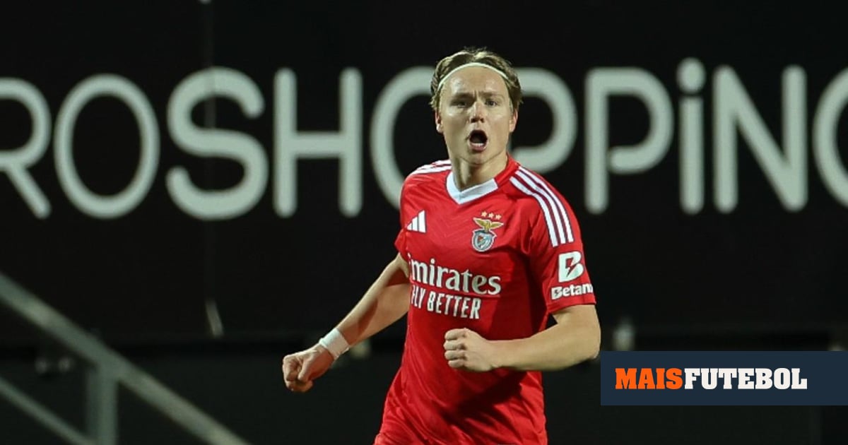 Schjelderup cometeu «erro muito grave», mas vai continuar a ir à seleção