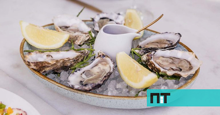 Restaurantes da Avenida da Liberdade vão ter menus com trufa e ostras a preços mais baixos — NiT