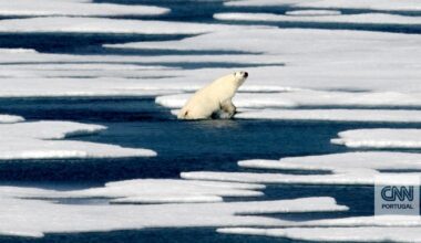 Islândia eleva estado de alerta devido a nova "ameaça à segurança nacional": o colapso da circulação no Atlântico