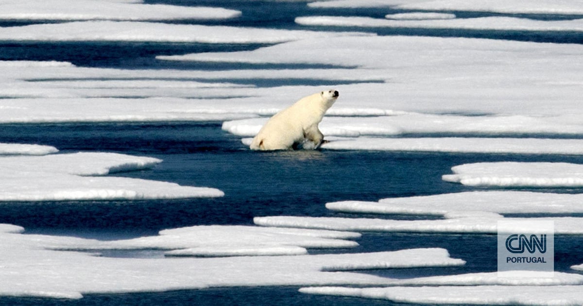 Islândia eleva estado de alerta devido a nova "ameaça à segurança nacional": o colapso da circulação no Atlântico
