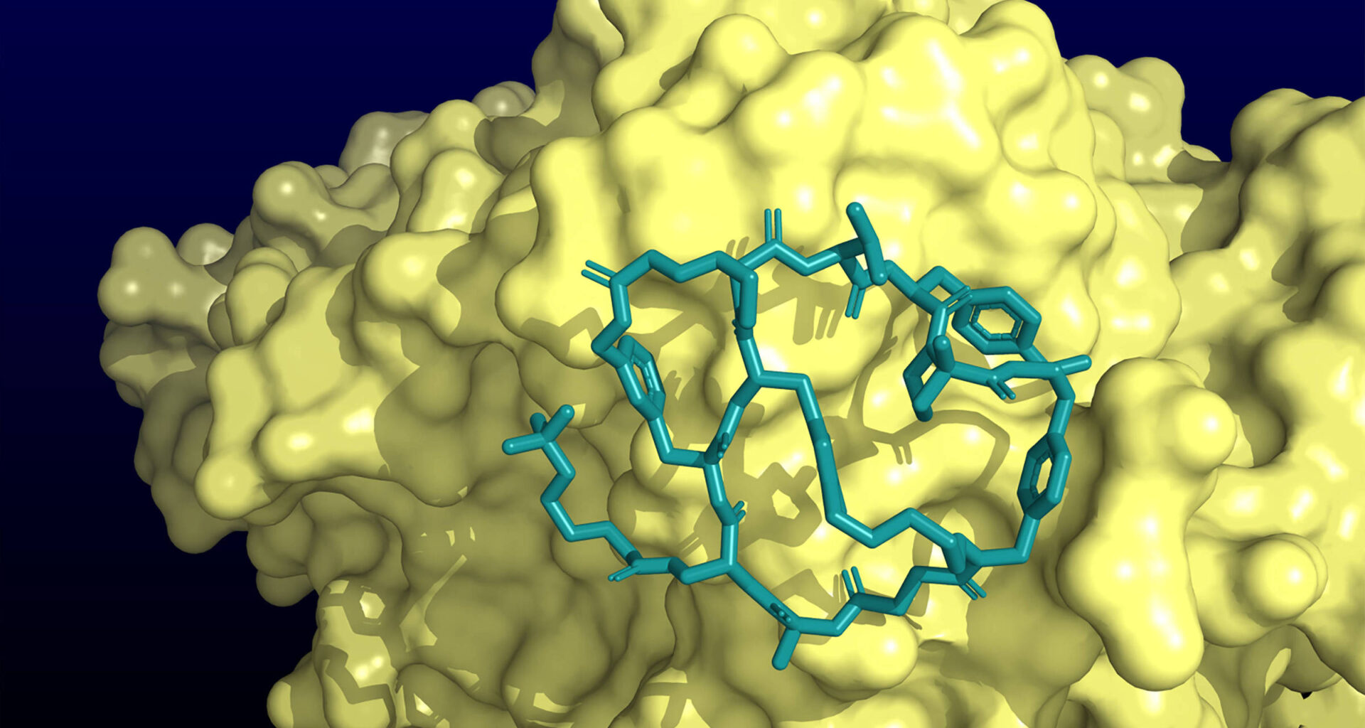 Nova pílula reduz colesterol a níveis extremamente baixos - 16/11/2025 - Equilíbrio e Saúde