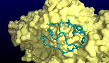 Nova pílula reduz colesterol a níveis extremamente baixos - 16/11/2025 - Equilíbrio e Saúde