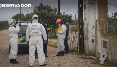 Como dois idosos foram vítimas da tempestade Cláudia – Observador