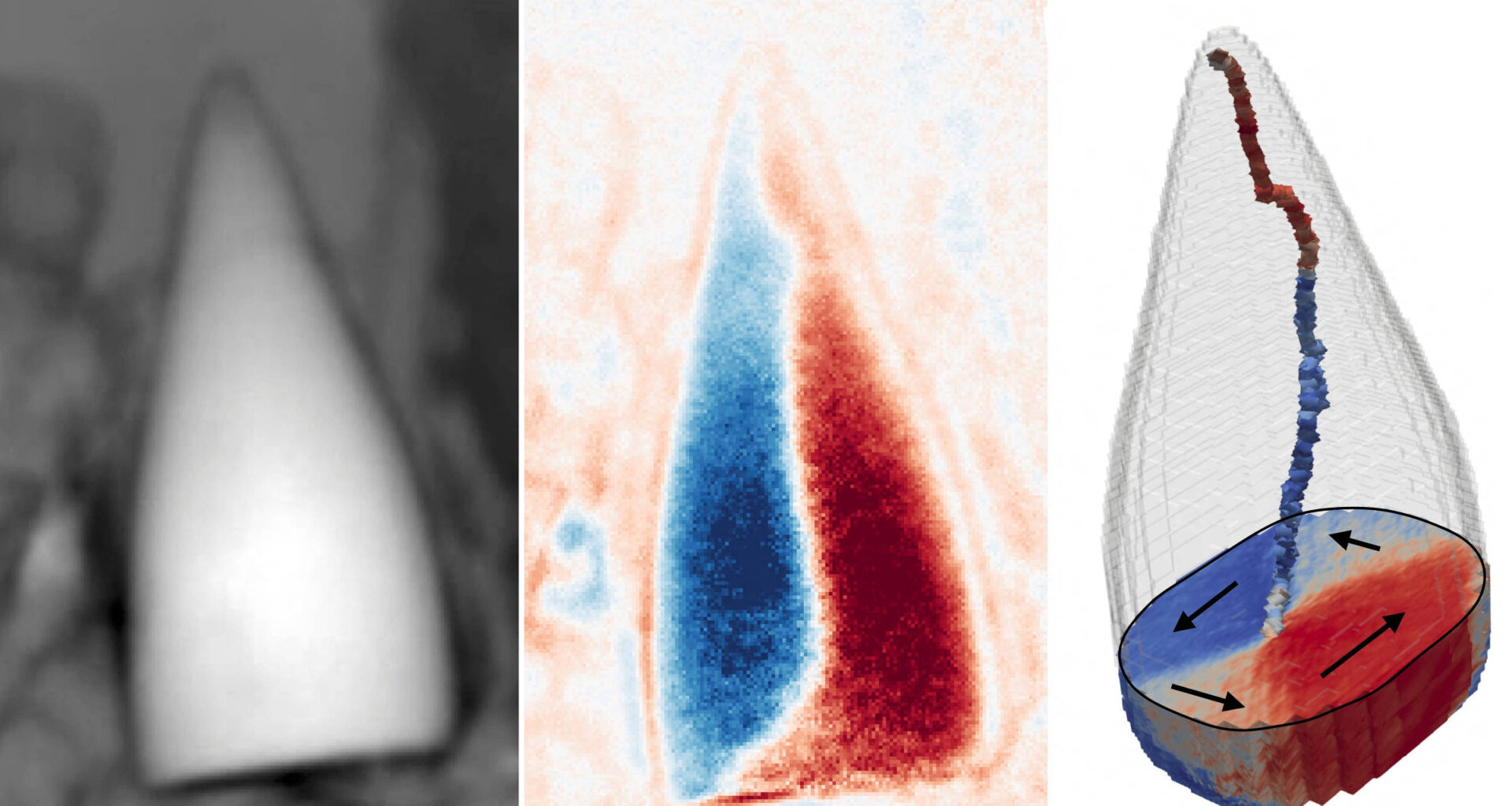 Fósseis magnéticos podem revelar 'sistema de GPS interno' - 18/11/2025 - Ciência