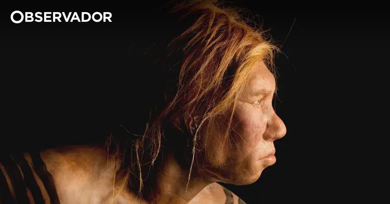 Narizes dos Neandertais não adquiriram adaptações para frio – Observador