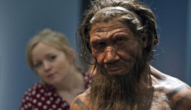 Neandertais praticavam "canibalismo seletivo" de mulheres e crianças no norte da Europa
