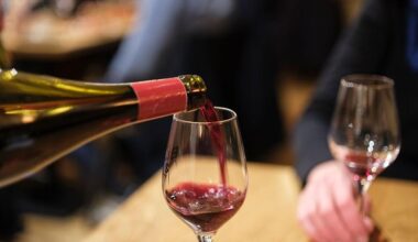 2 vinhos portugueses distinguidos entre os 100 melhores do mundo